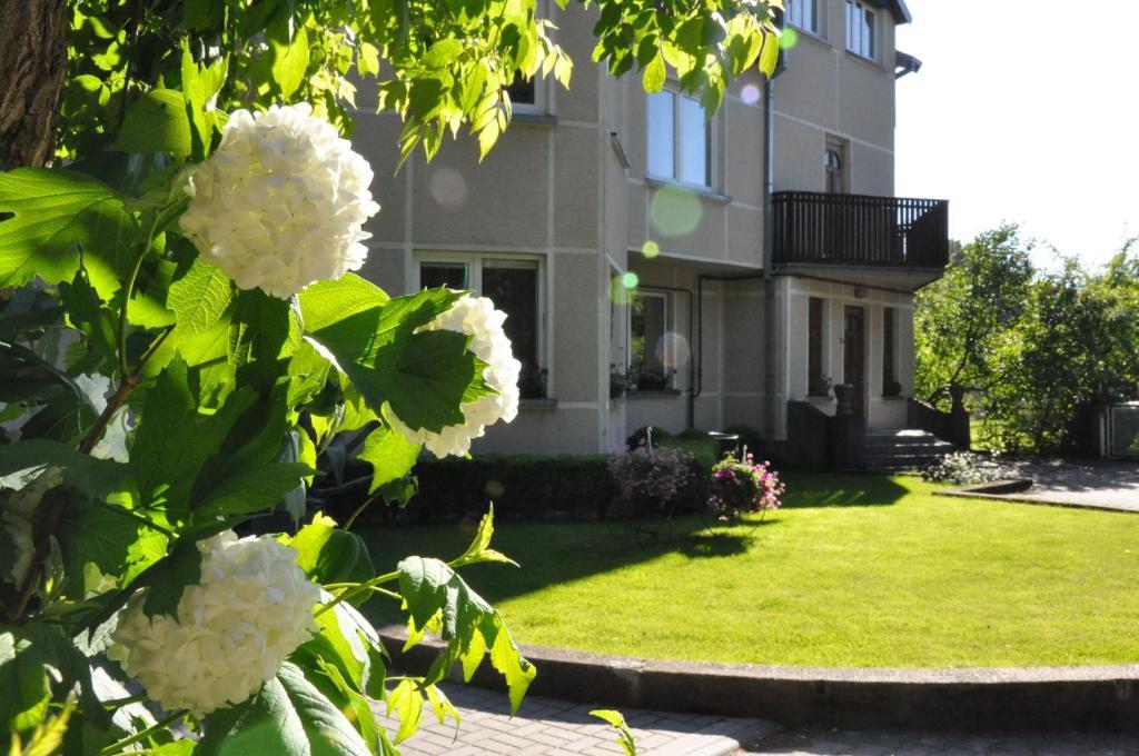 Elena Hotel Palanga Bagian luar foto